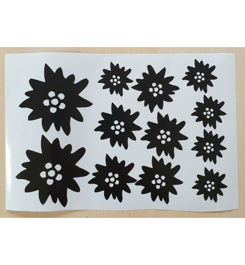 Vinylmotiv Edelweiss schwarz