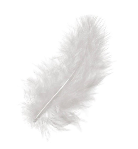 Marabu Federn weiss