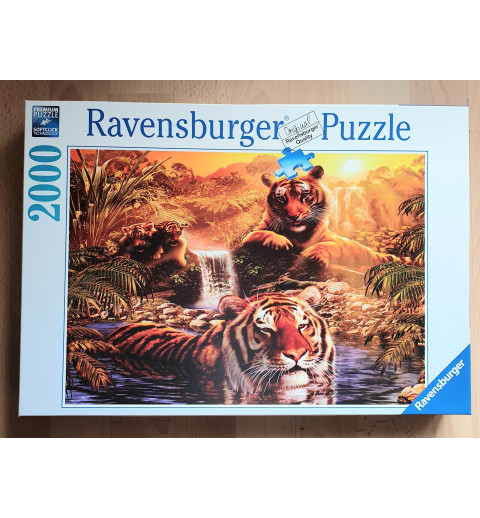 Puzzle Tiger im Wasser