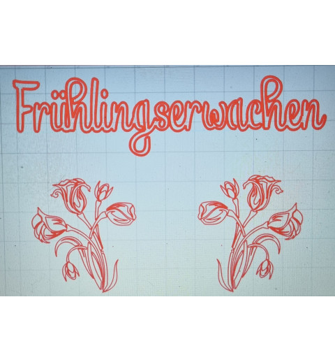 Schablone Frühlingserwachen