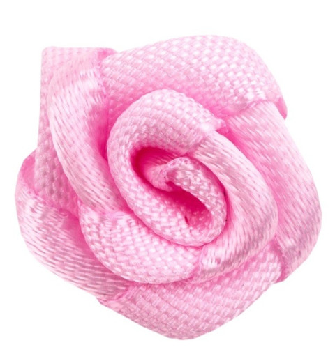 Satinrose rosa