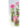 Glas Vase