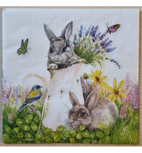 Serviette Zwei Kaninchen