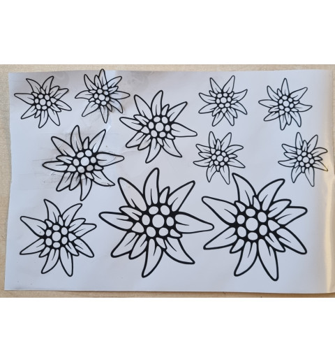 Vinylmotiv Edelweiss Konturen schwarz