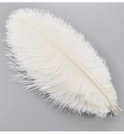 Straussenfeder weiss 18 cm