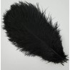 Straussenfeder schwarz 18 cm