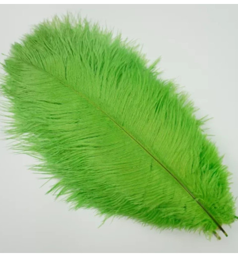 Straussenfeder grün 18 cm