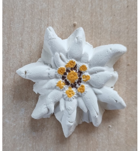 Edelweiss