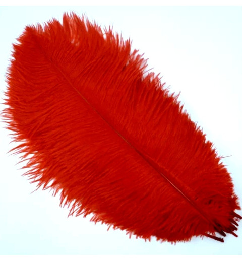 Straussenfeder rot