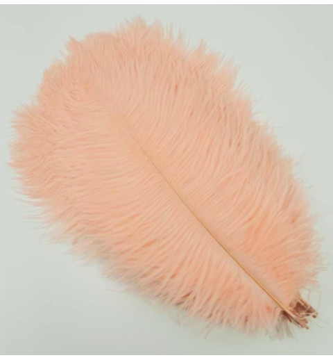 Straussenfeder apricot