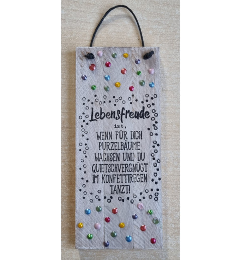 Mini Schild Lebensfreude.....
