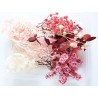 Trockenblumen Set pink