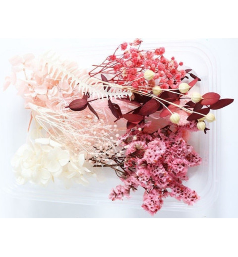 Trockenblumen Set pink