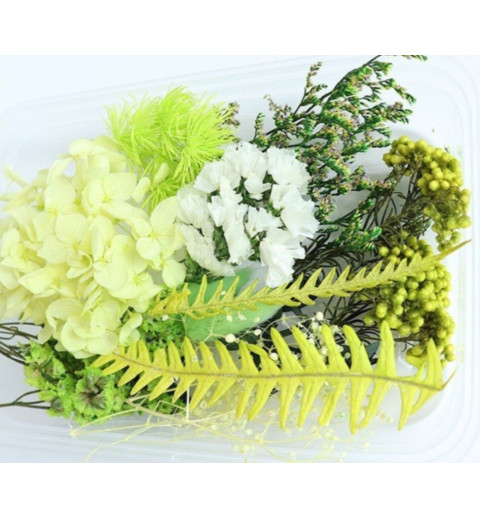 Trockenblumen Set hellgrün