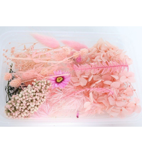 Trockenblumen Set rosa