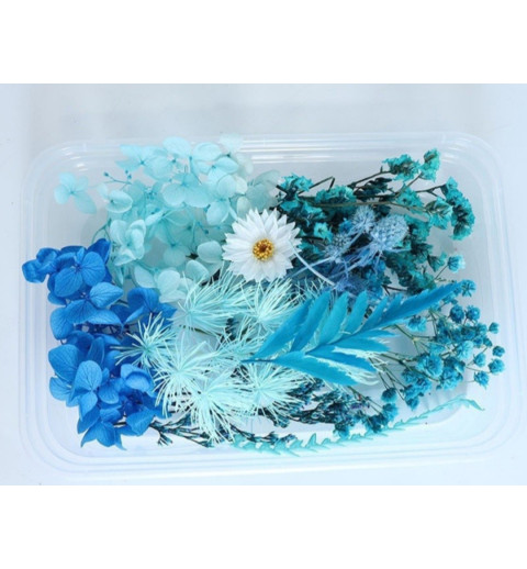 Trockenblumen Set türkis