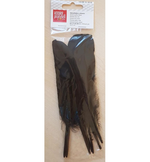 Gänsefedern schwarz