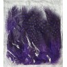 Dekofedern violette