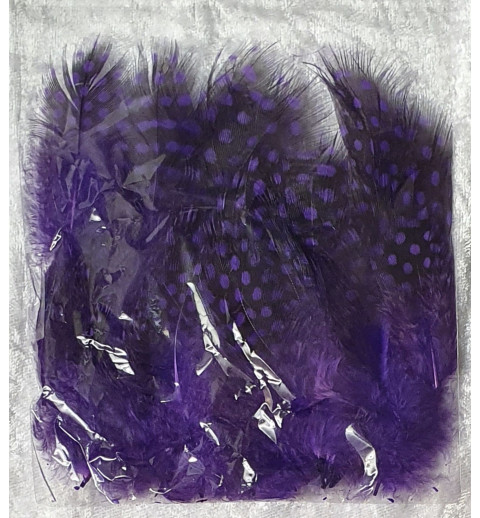 Dekofedern violette