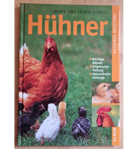 Hühner