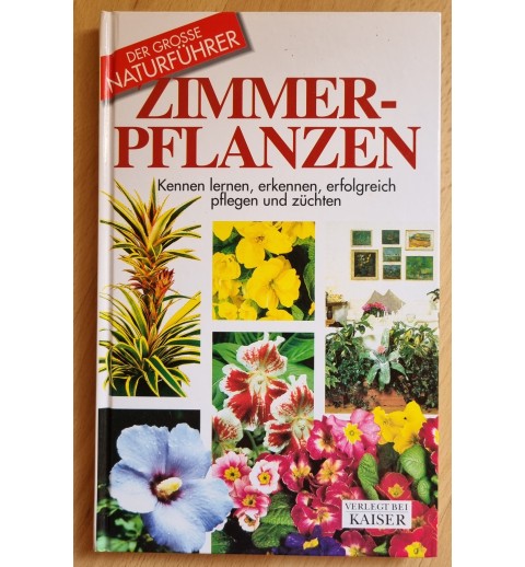 Zimmerpflanzen