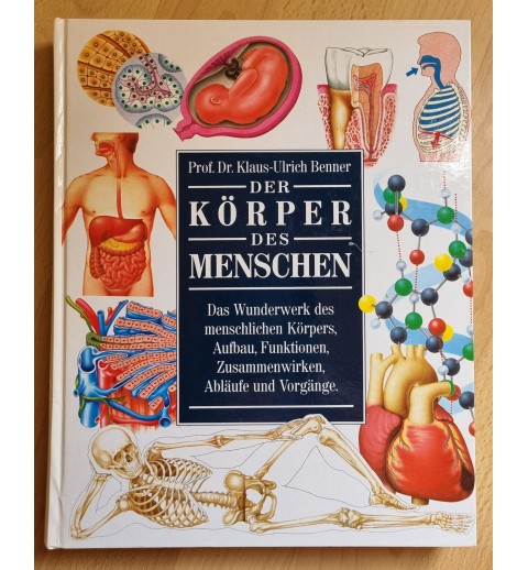Der Körper des Menschen
