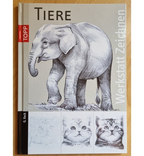 Tiere Werkstatt zeichnen