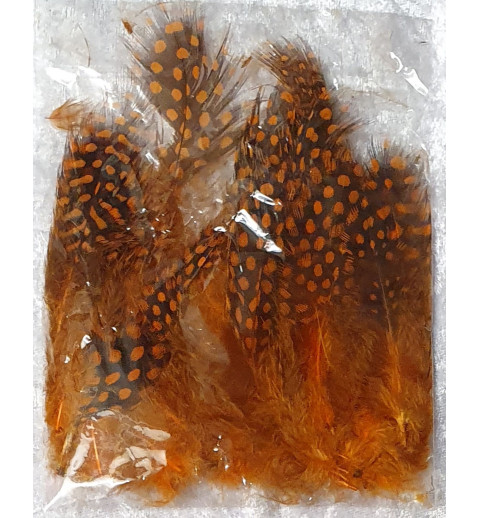 Dekofedern orange