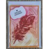 Herzlichen Glückwunsch Feder rot/orange/gelb