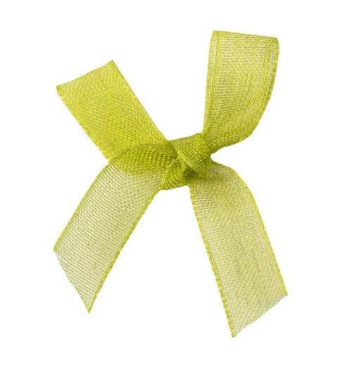 Organza Schleife hellgrün