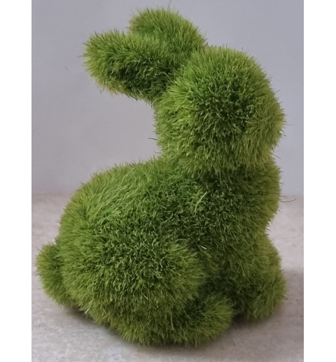 Mini Hase Moos