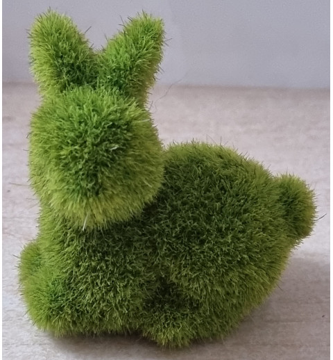 Mini Hase Moos