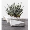 Kreativ Beton 2.5 kg