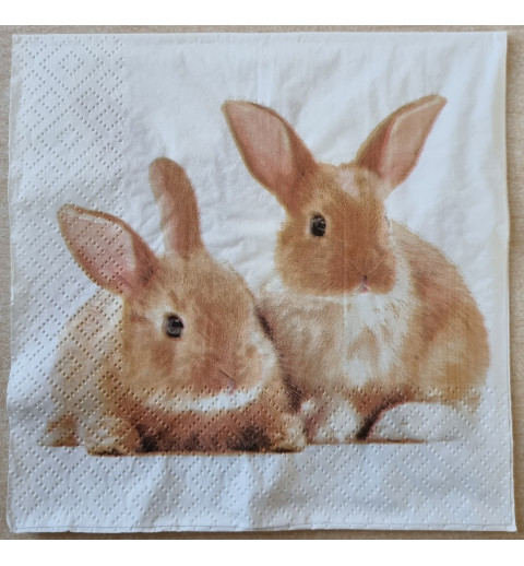 Serviette Zwei Kaninchen