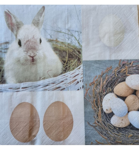 Serviette Kaninchen/Eier