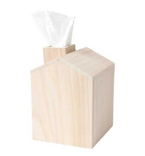 Kleenexbox Haus