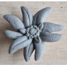 Beton Edelweiss grau