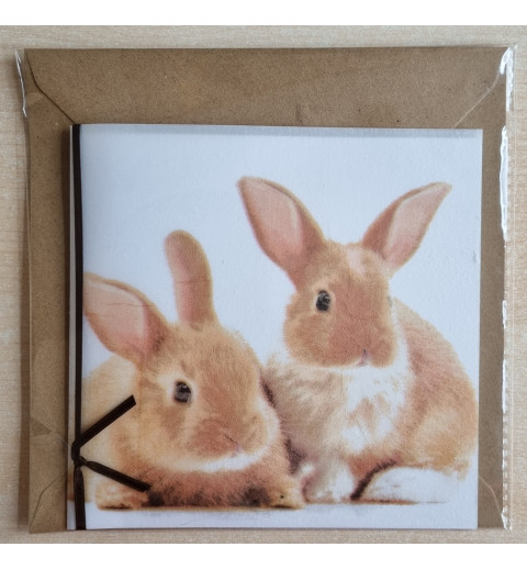 Zwei braune Kaninchen