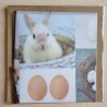 Kaninchen im Korb/Eier