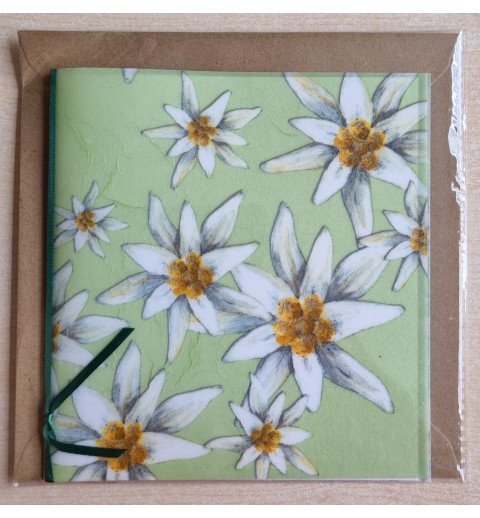 Edelweiss hellgrün