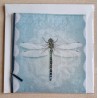 Libelle
