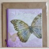 Schmetterling flieder