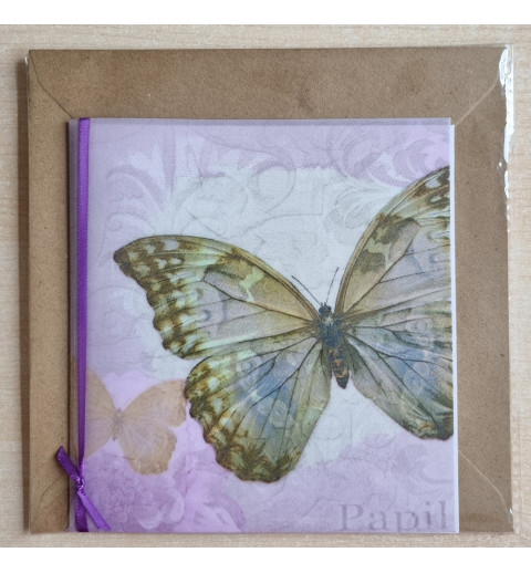 Schmetterling flieder