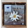 Serviettenhalter geflammt/rot kariert Edelweiss