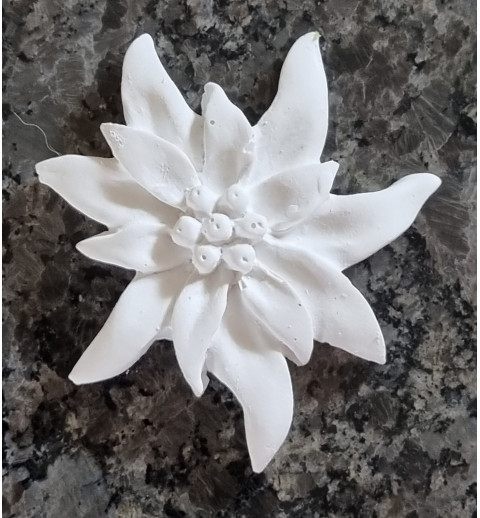 Beton Edelweiss flach
