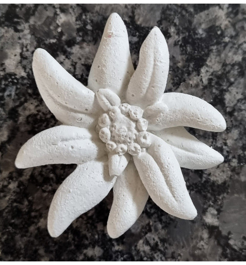 Beton Edelweiss weiss Wetterfest