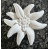 Beton Edelweiss weiss Wetterfest