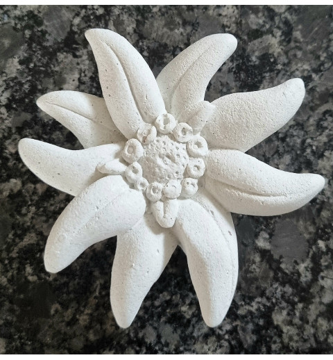 Beton Edelweiss weiss Wetterfest