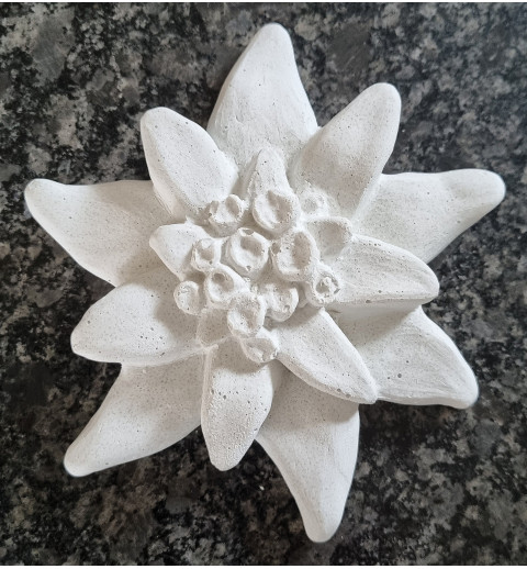 Beton Edelweiss weiss Wetterfest