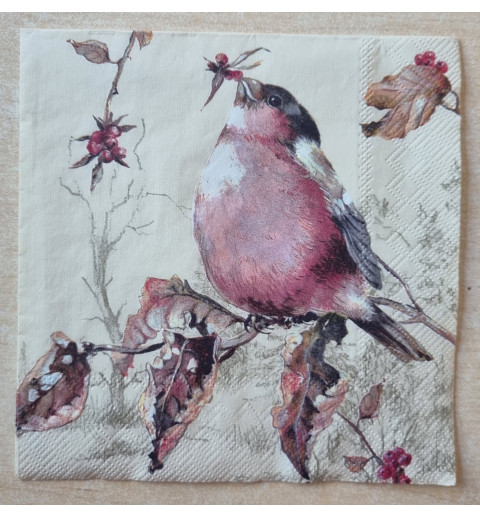 Serviette Buchfink